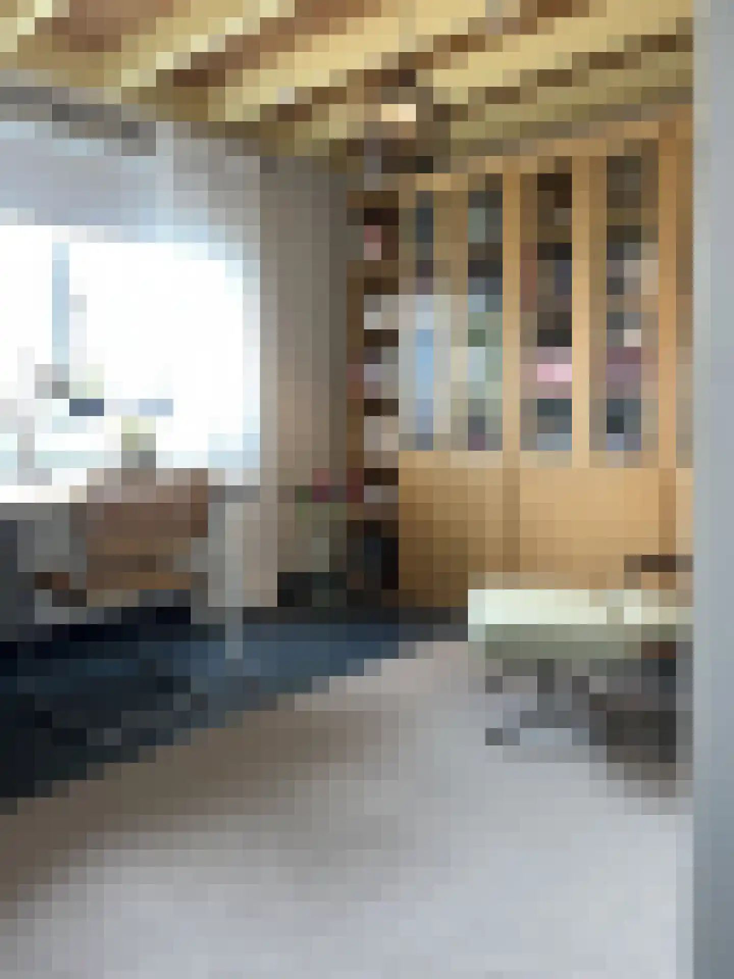 Lijsterlaan 2 b Bleiswijk thumbnail 40