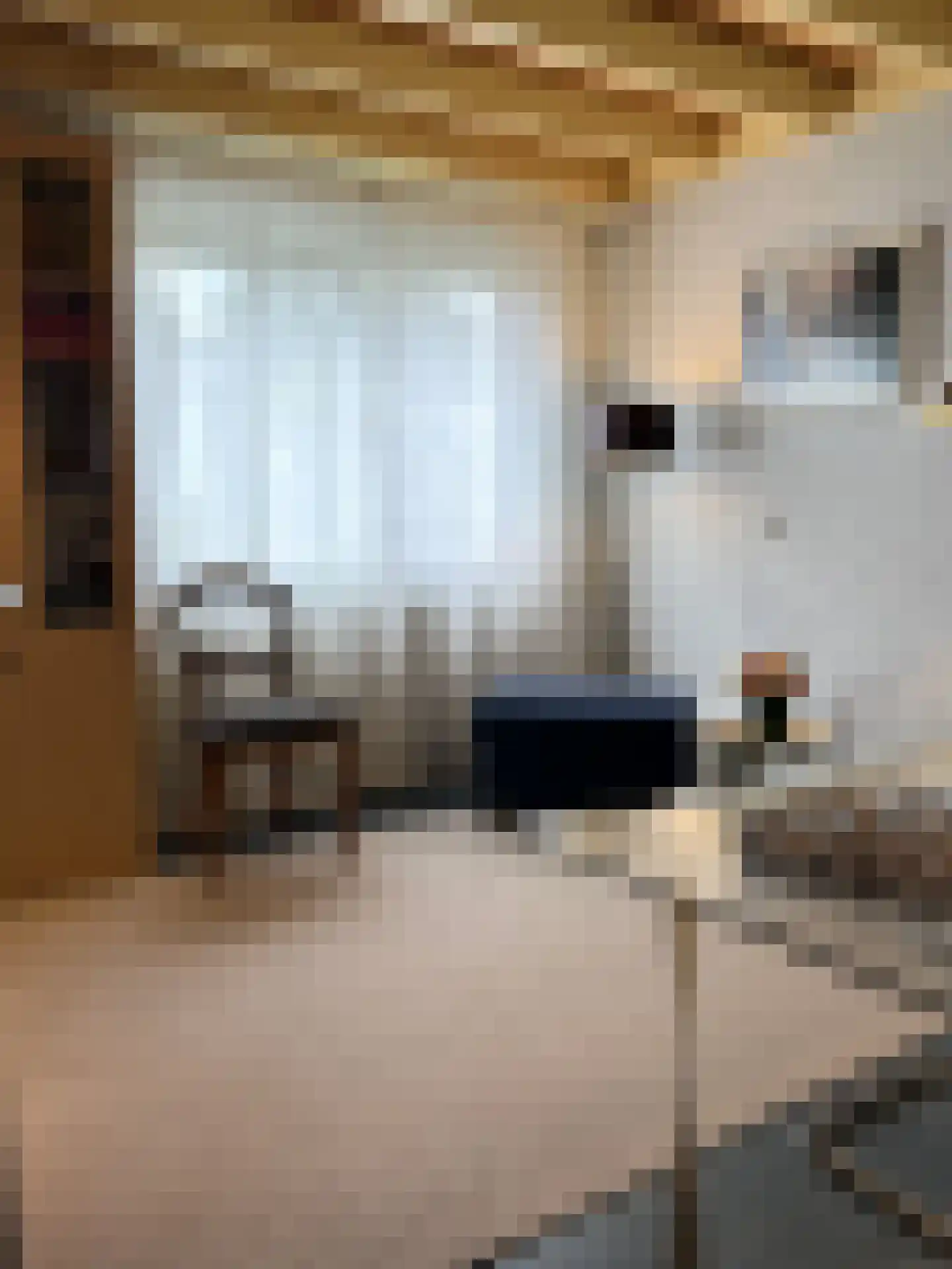 Lijsterlaan 2 b Bleiswijk thumbnail 41