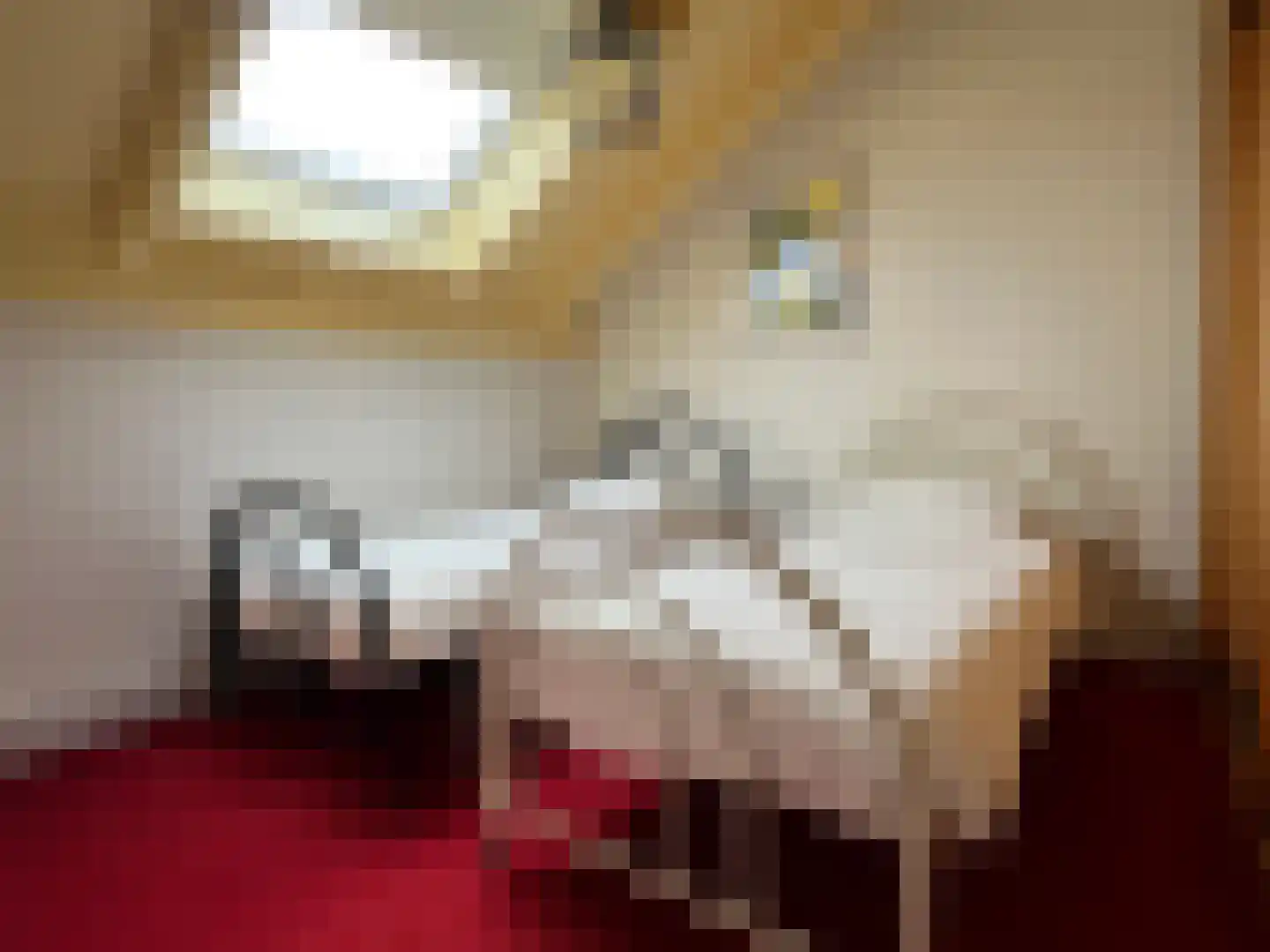Lijsterlaan 2 b Bleiswijk thumbnail 43