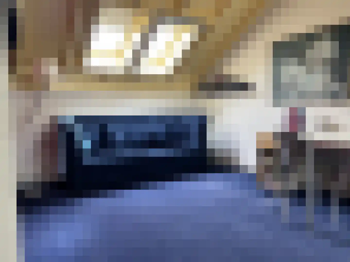 Lijsterlaan 2 b Bleiswijk thumbnail 43