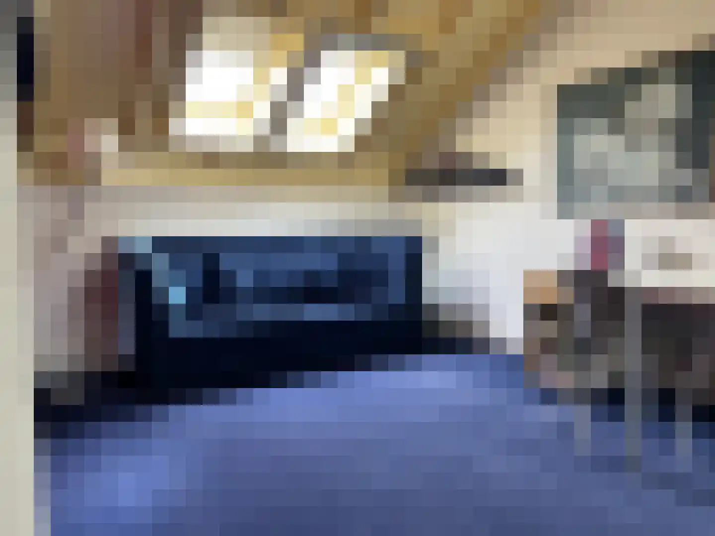 Lijsterlaan 2 b Bleiswijk thumbnail 43