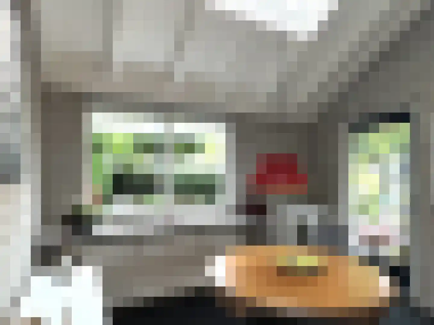 Lijsterlaan 2 b Bleiswijk thumbnail 48