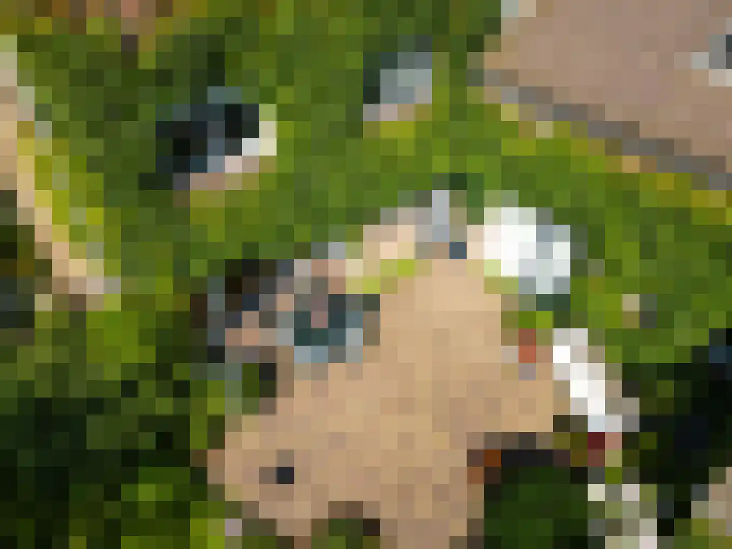 Lijsterlaan 2 b Bleiswijk thumbnail 5