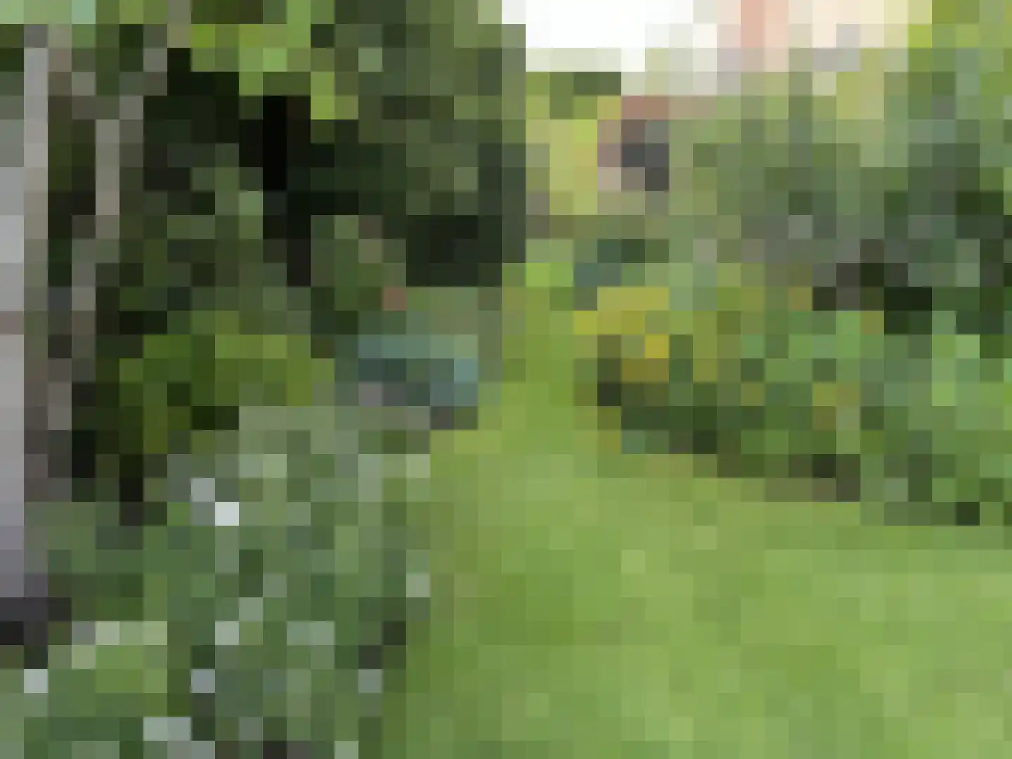 Lijsterlaan 2 b Bleiswijk thumbnail 52