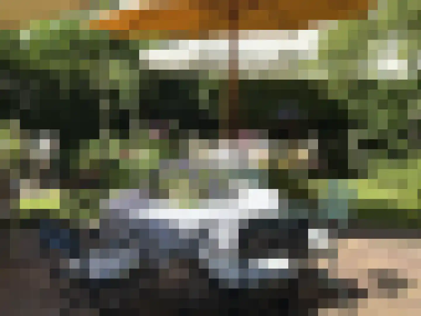 Lijsterlaan 2 b Bleiswijk thumbnail 53
