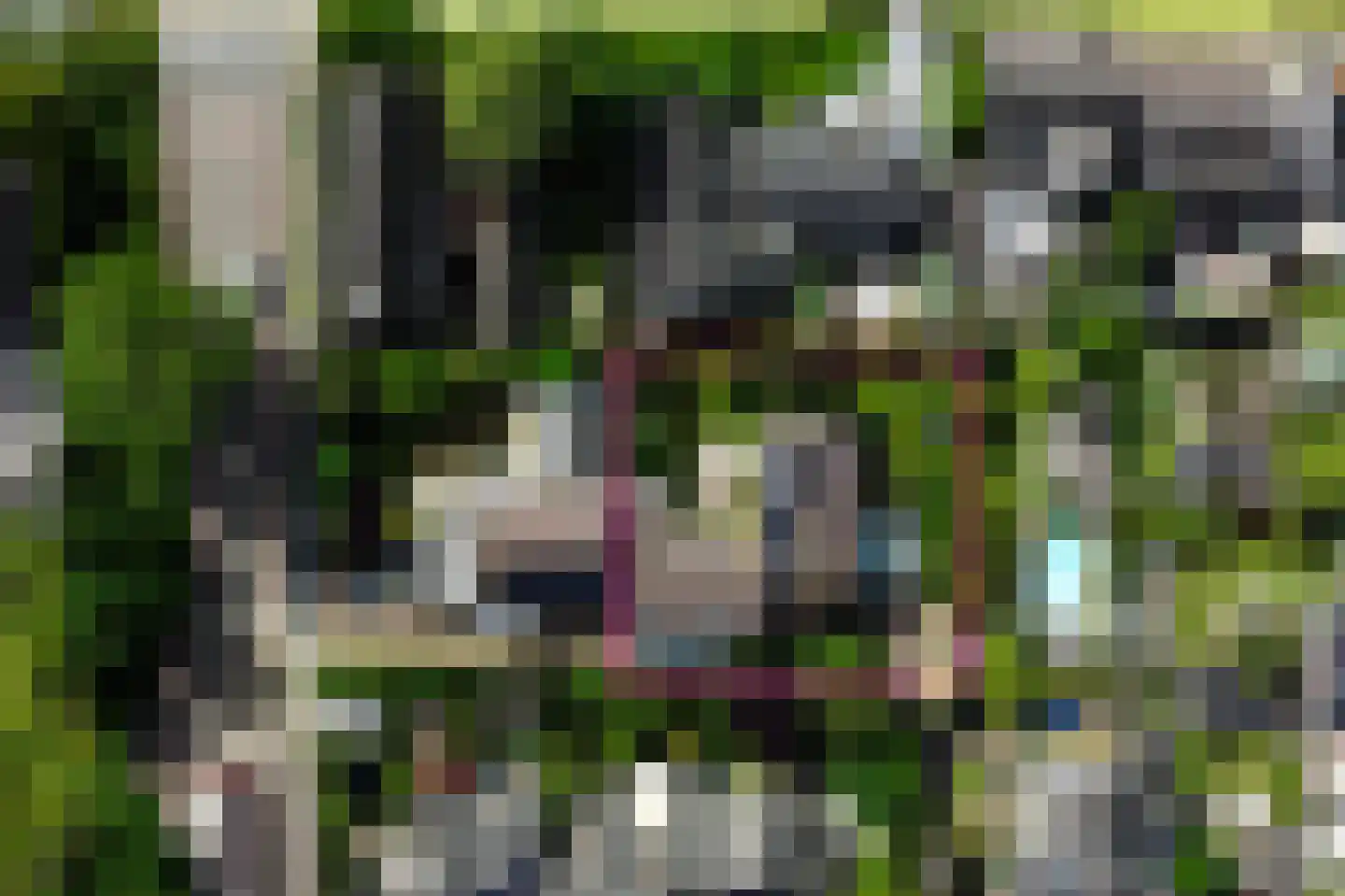 Lijsterlaan 2 b Bleiswijk thumbnail 56
