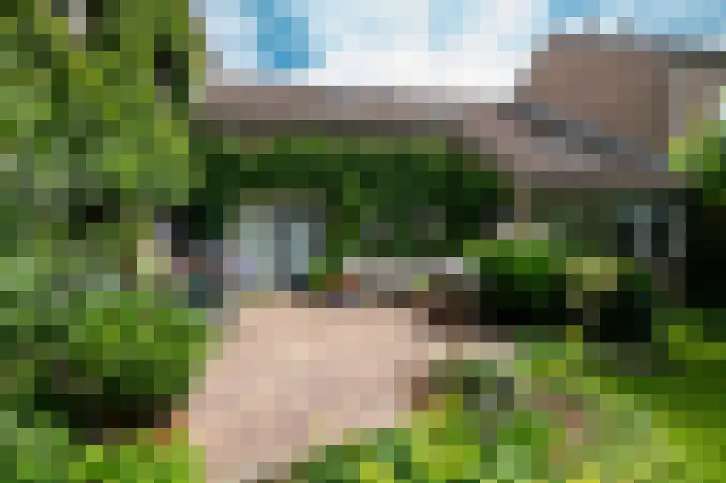 Lijsterlaan 2 b Bleiswijk thumbnail 6