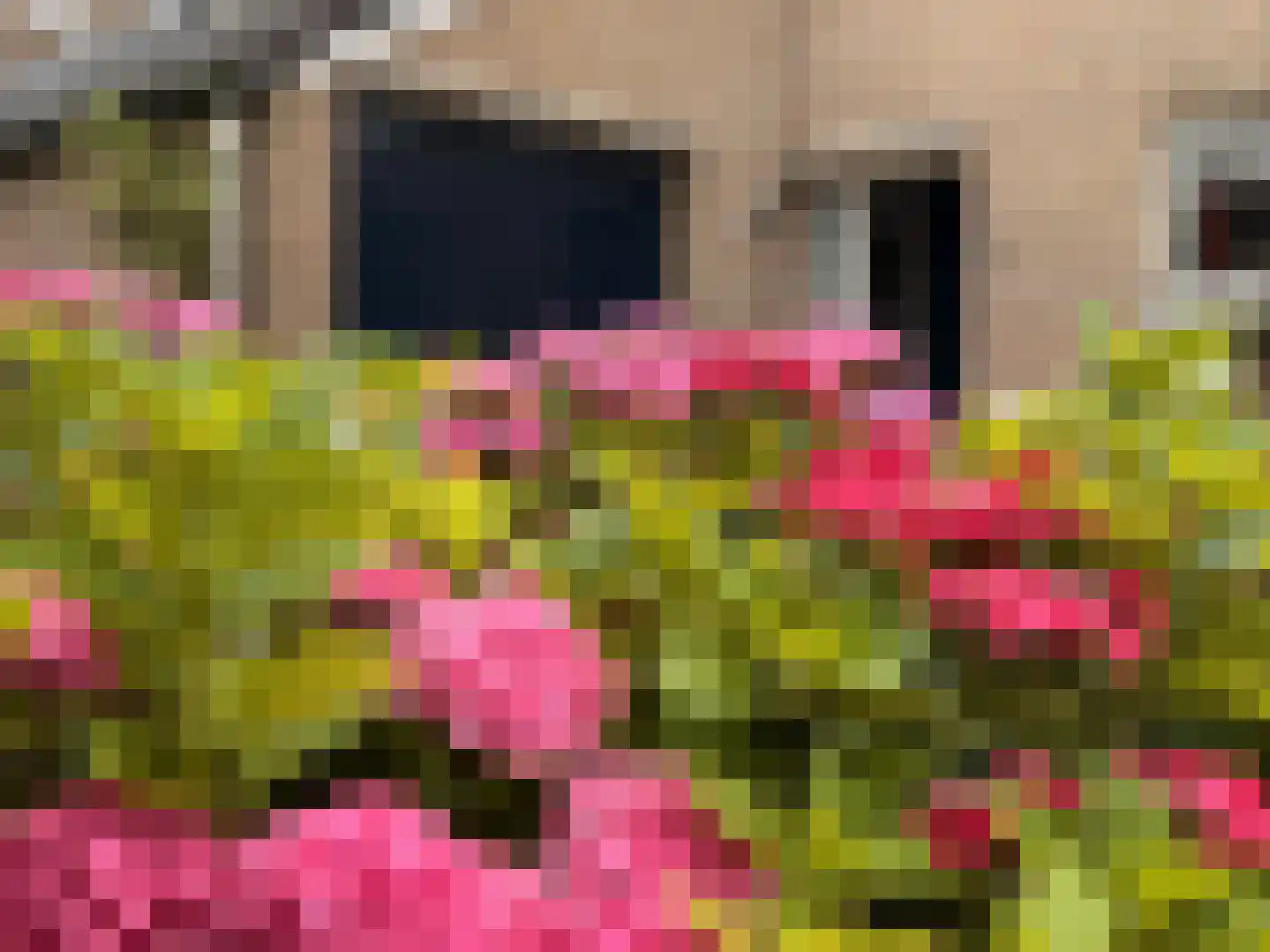 Lijsterlaan 2 b Bleiswijk thumbnail 6