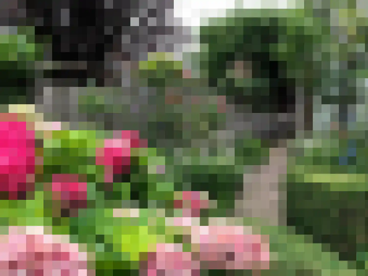 Lijsterlaan 2 b Bleiswijk thumbnail 7