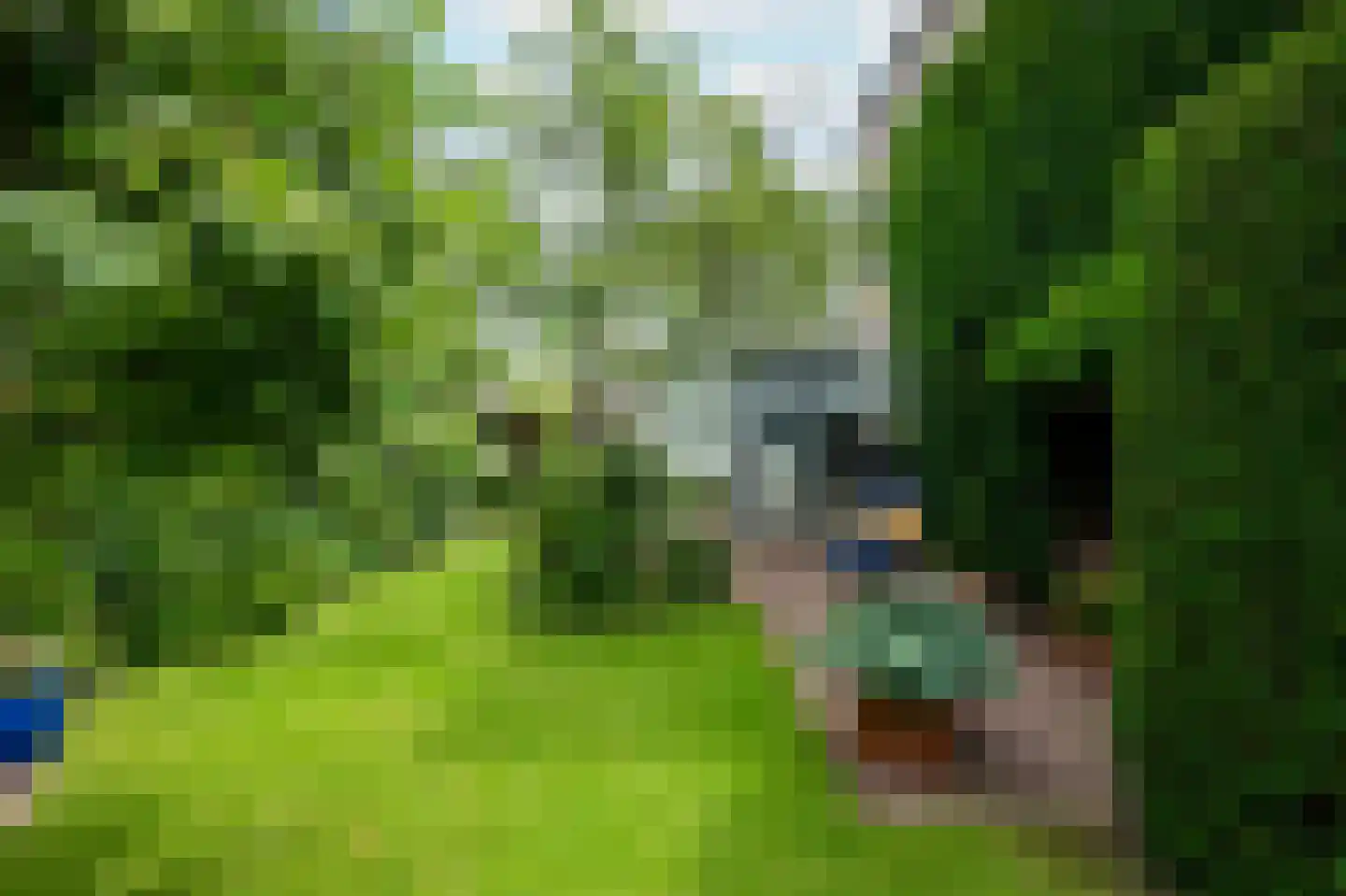 Lijsterlaan 2 b Bleiswijk thumbnail 7
