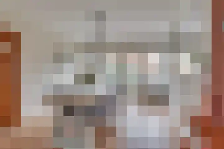 Lijsterlaan 2 Nieuwleusen thumbnail 12