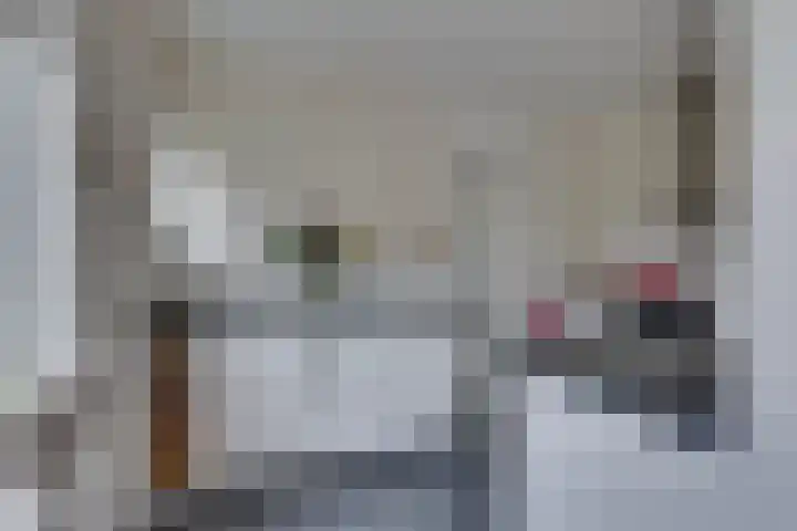 Lijsterlaan 2 Nieuwleusen thumbnail 15