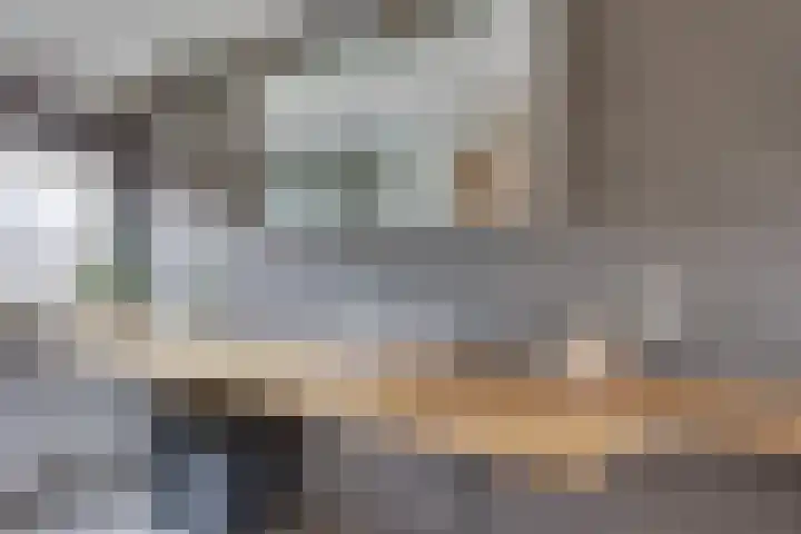 Lijsterlaan 2 Nieuwleusen thumbnail 22