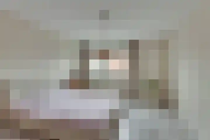 Lijsterlaan 2 Nieuwleusen thumbnail 25