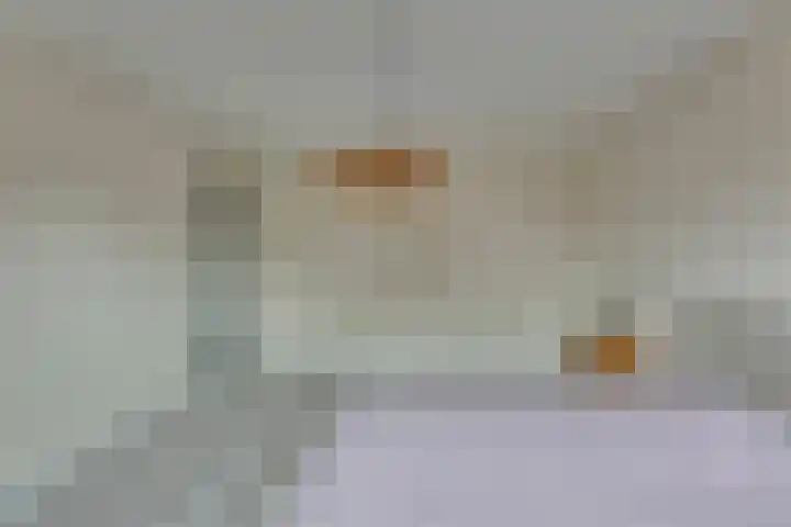 Lijsterlaan 2 Nieuwleusen thumbnail 26