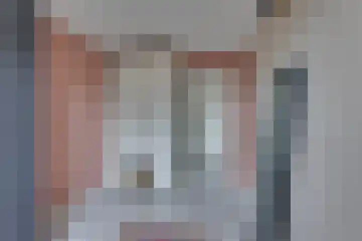Lijsterlaan 2 Nieuwleusen thumbnail 28
