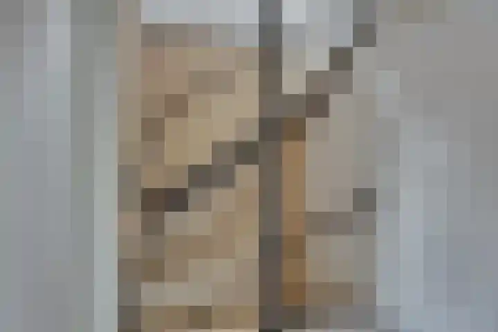 Lijsterlaan 2 Nieuwleusen thumbnail 29