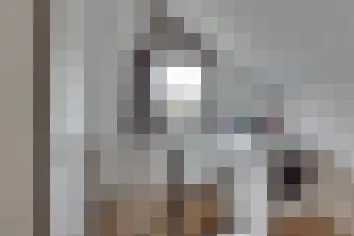 Lijsterlaan 2 Nieuwleusen thumbnail 30