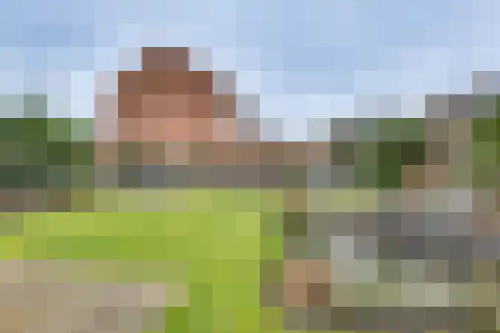 Lijsterlaan 2 Nieuwleusen thumbnail 33