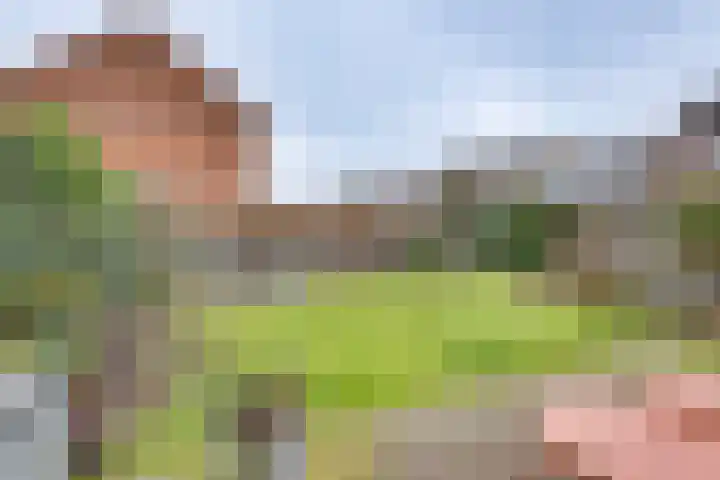 Lijsterlaan 2 Nieuwleusen thumbnail 34