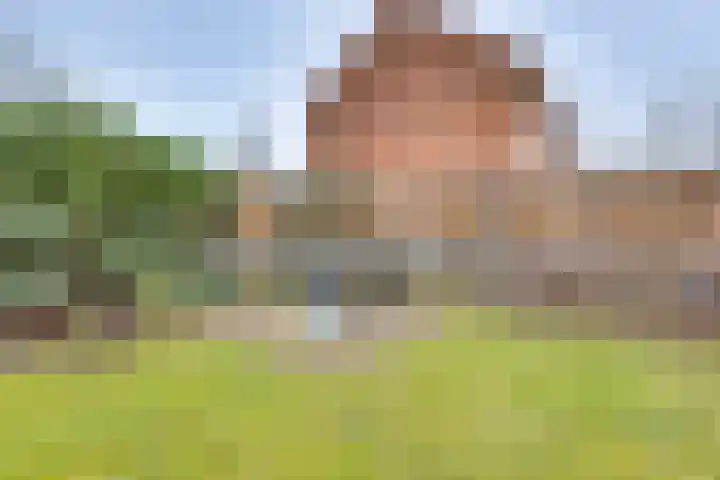 Lijsterlaan 2 Nieuwleusen thumbnail 35