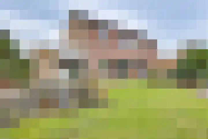Lijsterlaan 2 Nieuwleusen thumbnail 38
