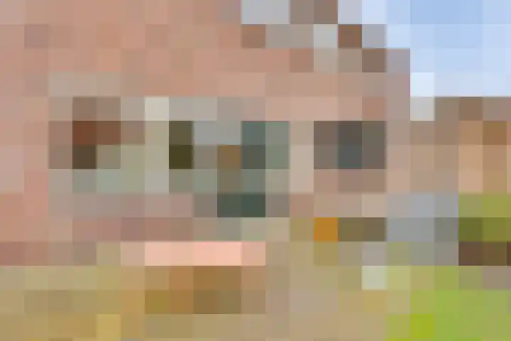 Lijsterlaan 2 Nieuwleusen thumbnail 39