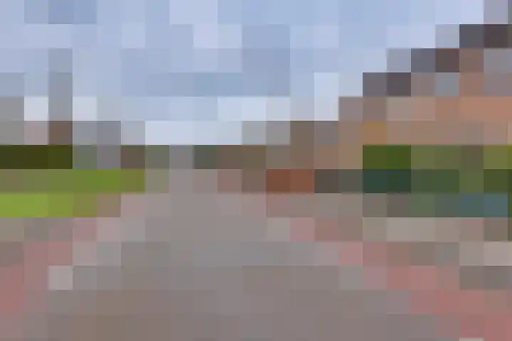 Lijsterlaan 2 Nieuwleusen thumbnail 40
