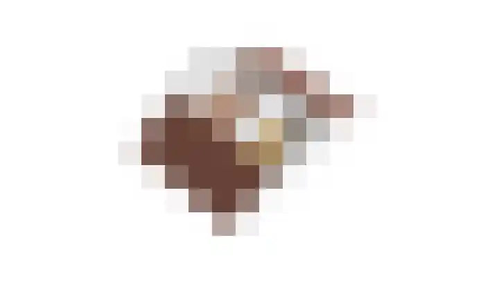 Lijsterlaan 2 Nieuwleusen thumbnail 50