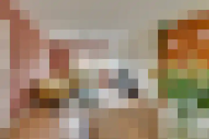 Lijsterlaan 2 Nieuwleusen thumbnail 7
