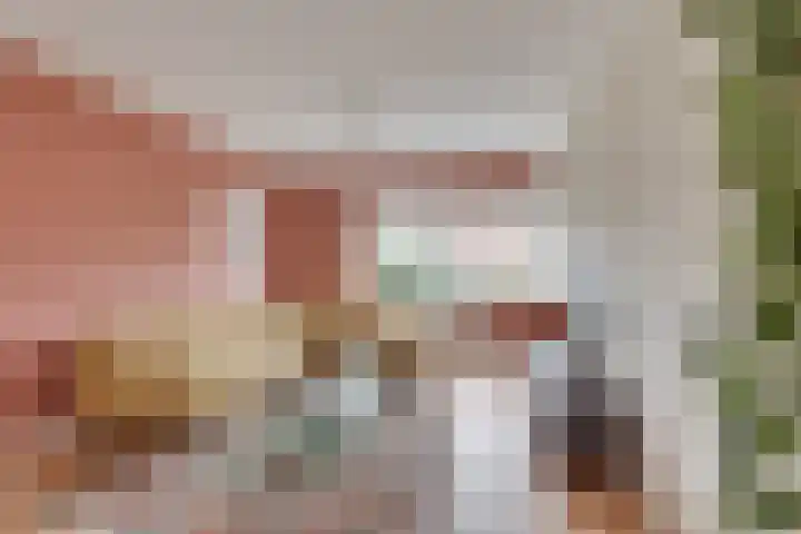 Lijsterlaan 2 Nieuwleusen thumbnail 8