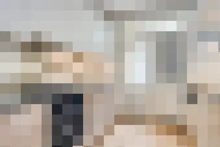 Lijsterlaan 23 Beek en Donk thumbnail 13