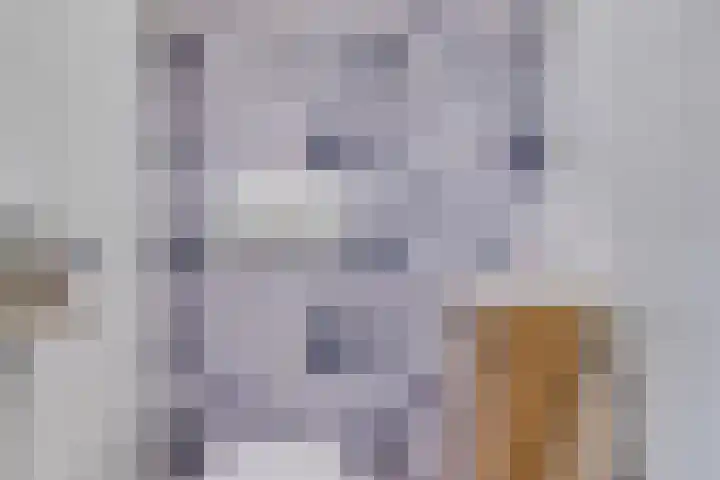 Lijsterlaan 23 Beek en Donk thumbnail 17