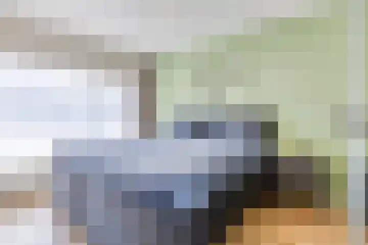 Lijsterlaan 23 Beek en Donk thumbnail 19
