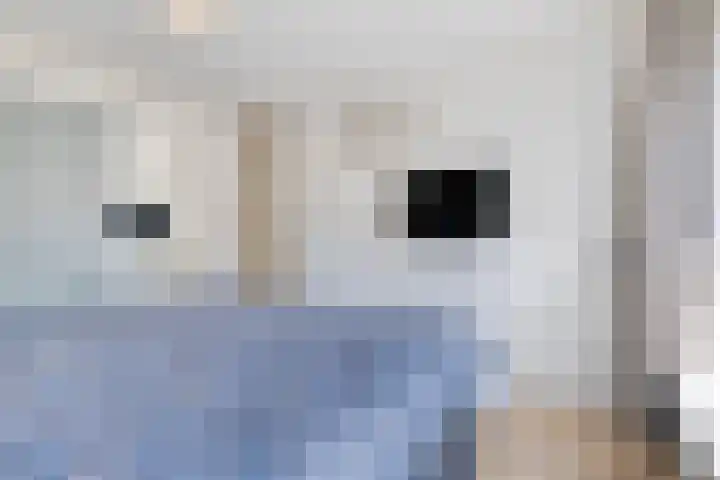 Lijsterlaan 23 Beek en Donk thumbnail 20
