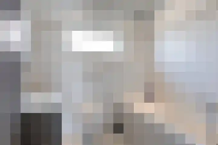 Lijsterlaan 23 Beek en Donk thumbnail 24