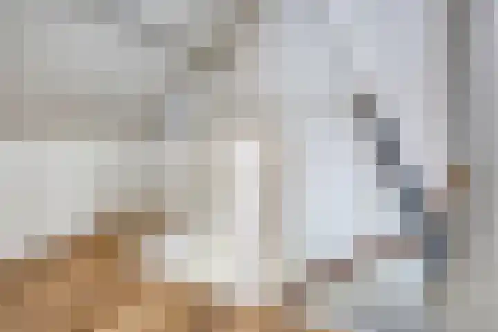 Lijsterlaan 23 Beek en Donk thumbnail 27