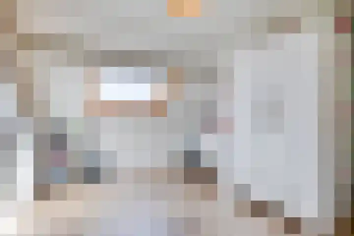 Lijsterlaan 23 Beek en Donk thumbnail 29