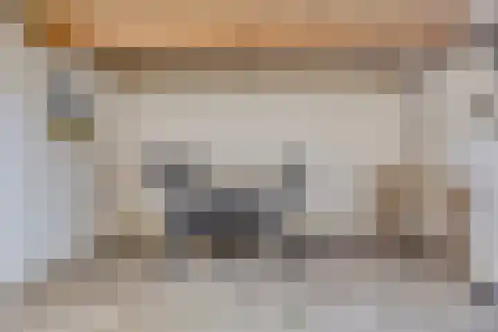 Lijsterlaan 23 Beek en Donk thumbnail 33
