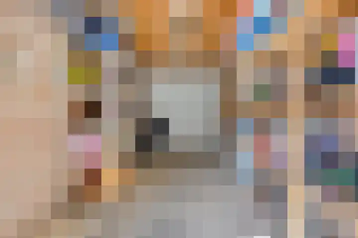 Lijsterlaan 23 Beek en Donk thumbnail 34