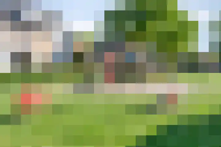 Lijsterlaan 23 Beek en Donk thumbnail 35
