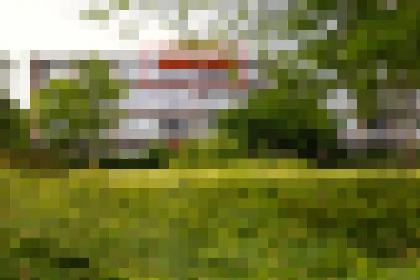 Lijsterlaan 231 Bussum