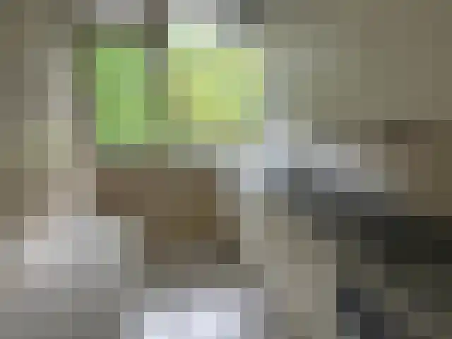 Lijsterlaan 231 Bussum thumbnail 19