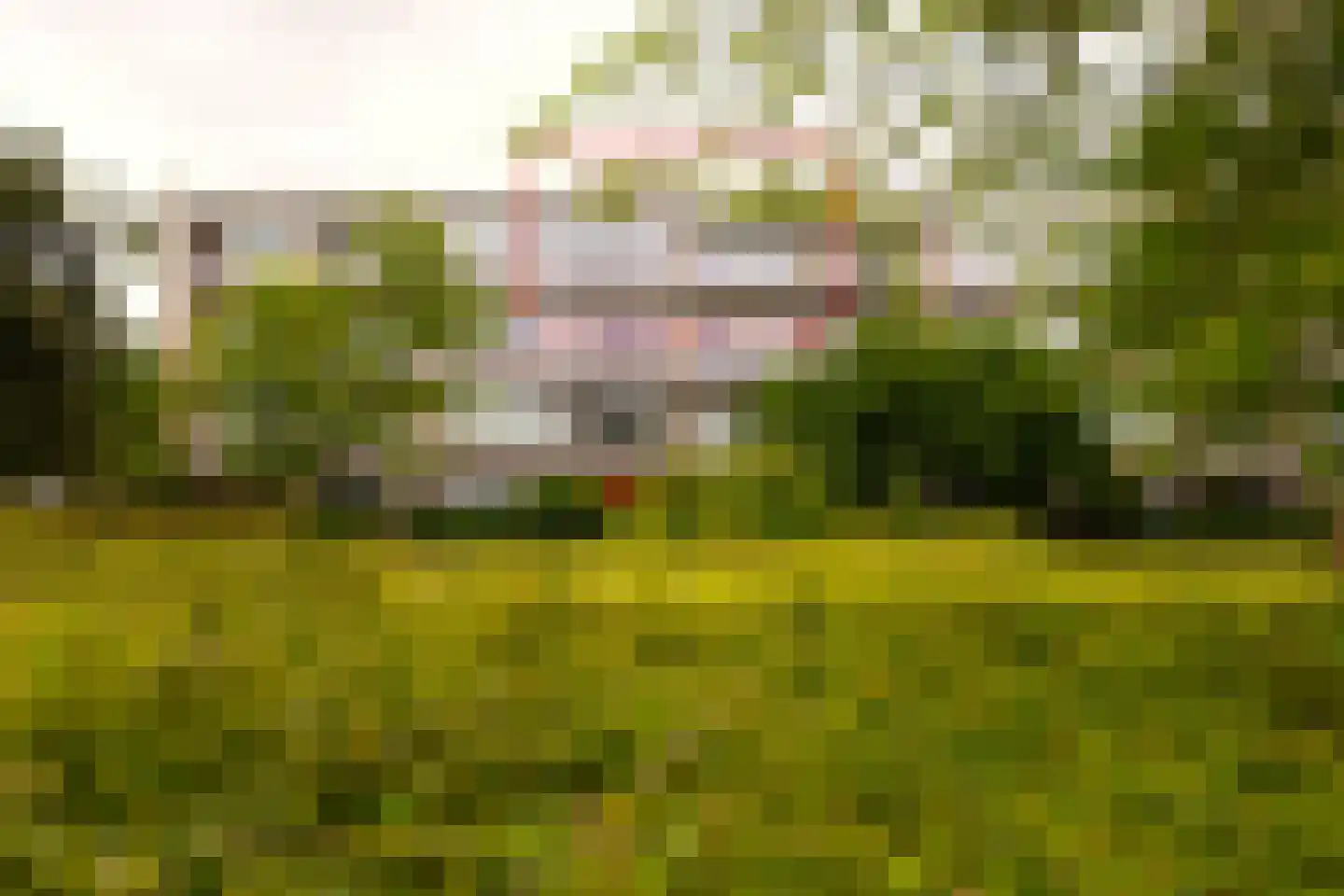 Lijsterlaan 231 Bussum thumbnail 33
