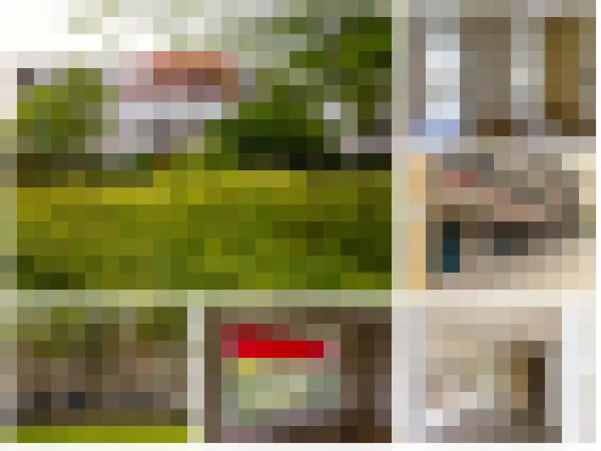 Lijsterlaan 231 Bussum thumbnail 34