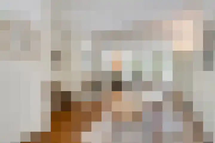 Lijsterlaan 26 Eindhoven thumbnail 11