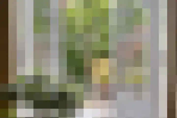 Lijsterlaan 26 Eindhoven thumbnail 14