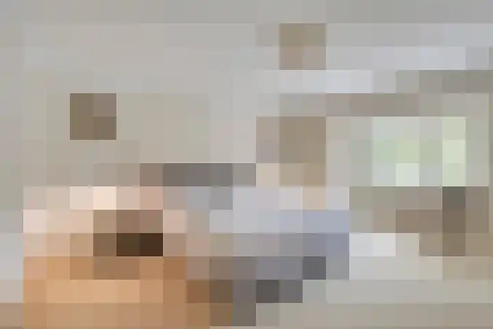 Lijsterlaan 26 Eindhoven thumbnail 19