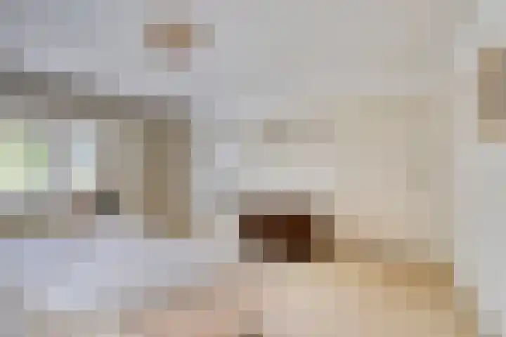 Lijsterlaan 26 Eindhoven thumbnail 20