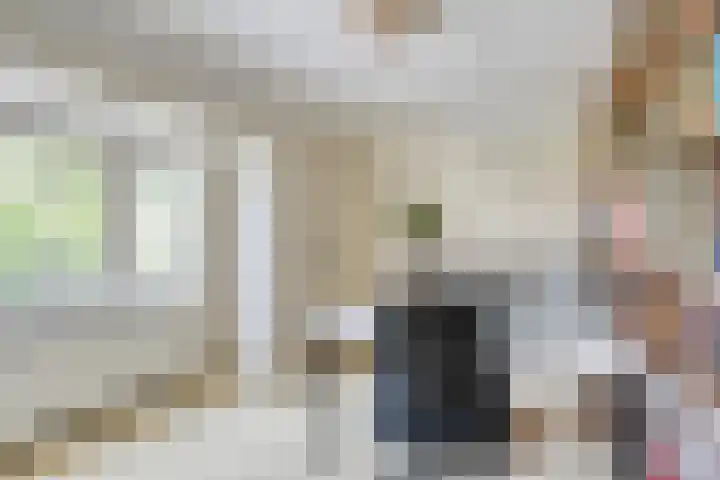 Lijsterlaan 26 Eindhoven thumbnail 22
